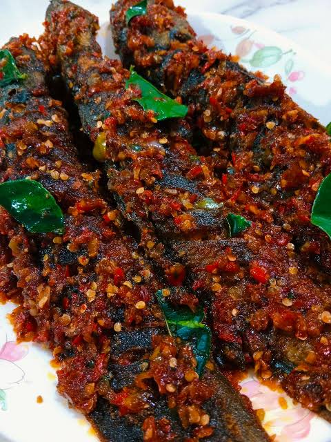 Ikan Keli Belado
