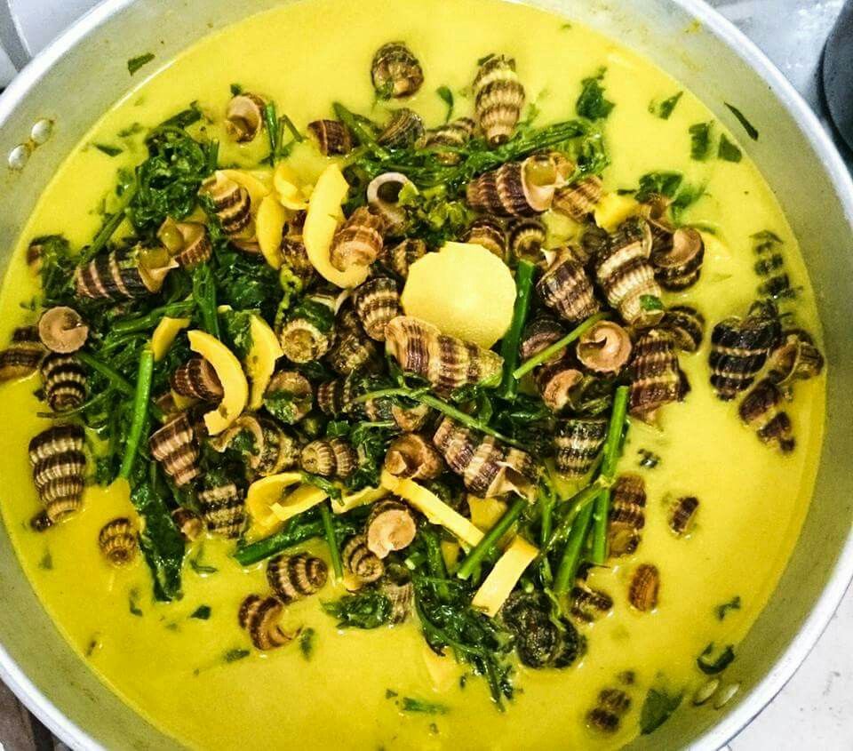 Siput Masak Lemak